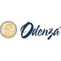 Odenza Marketing Group Scholarship [updated]