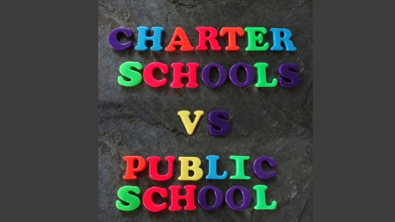Charter Schools vs Public Schools: Performance, Pros & Cons