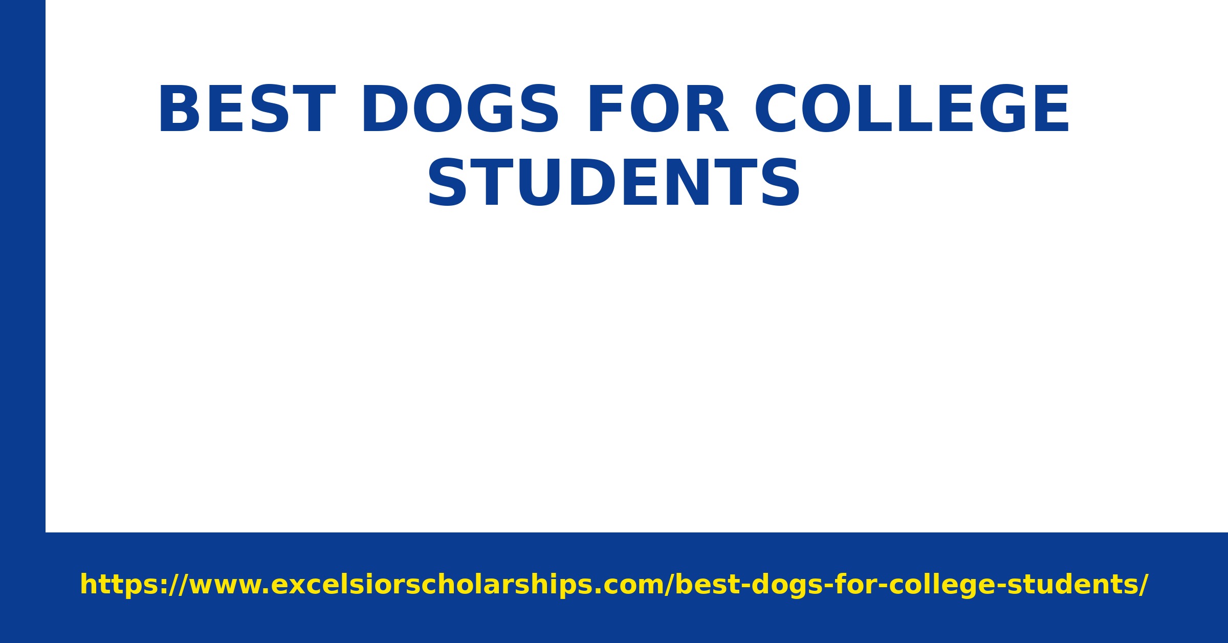 15 Best Dogs for College Students in 2027 — featured image | Excelsior Scholarships